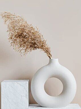 New Pampas Grass Decor, Natural Dry Pampas Grass Small, Short Pampass Bulk